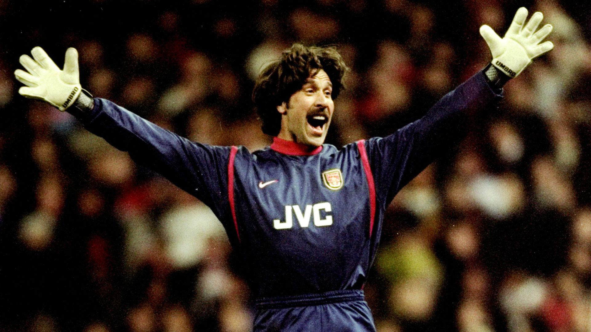 David Seaman Arsenal