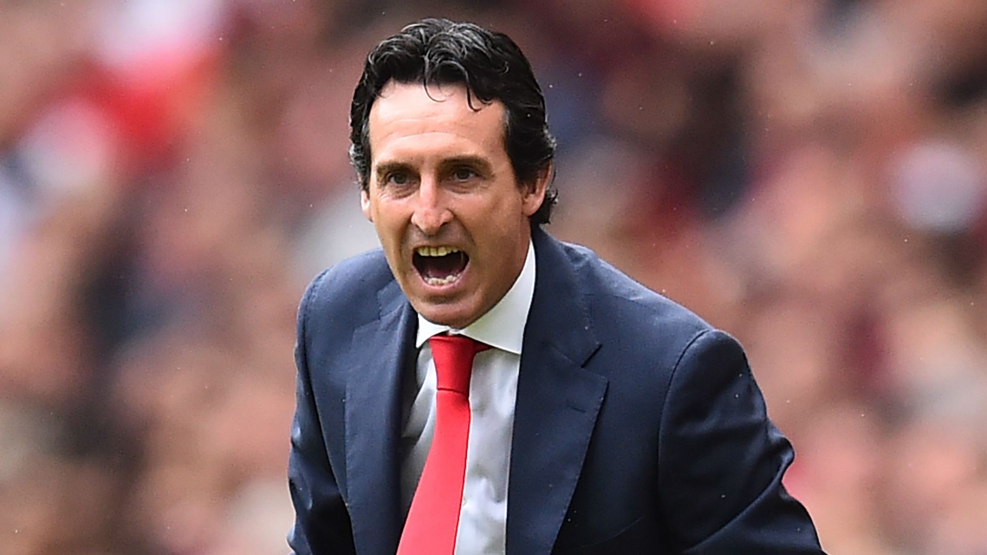 Unai Emery Arsenal 2018-19