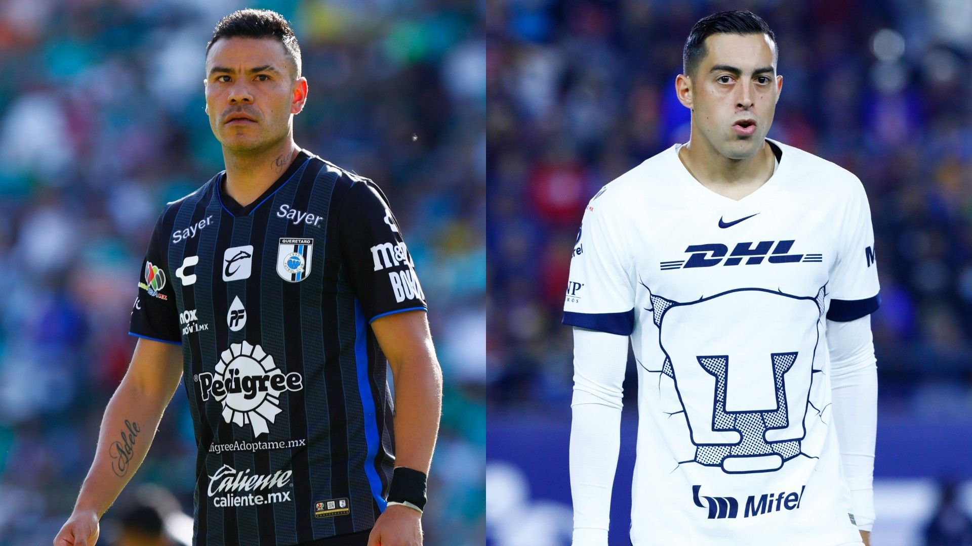 Querétaro Pumas Clausura 2024 VIVO