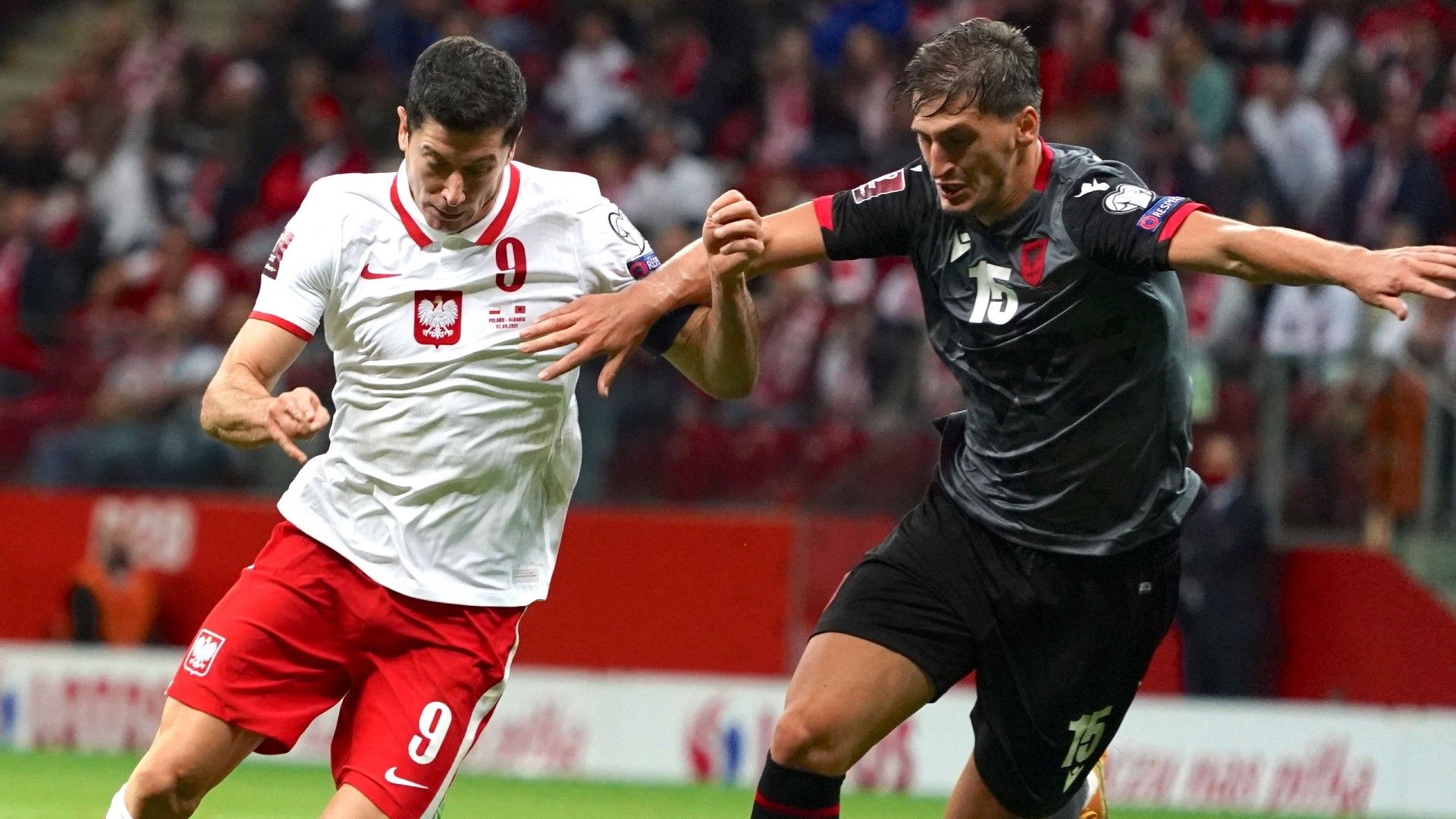 Lewandowski Poland Albania