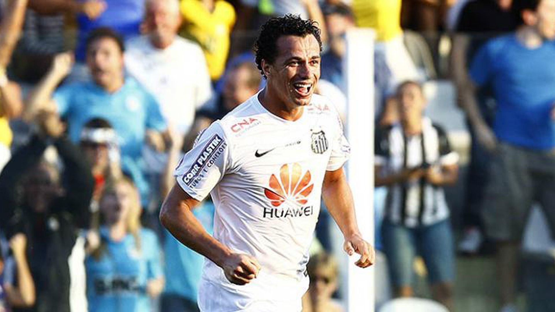 Leandro Damião Santos 2x0 Botafogo 30 11 2014