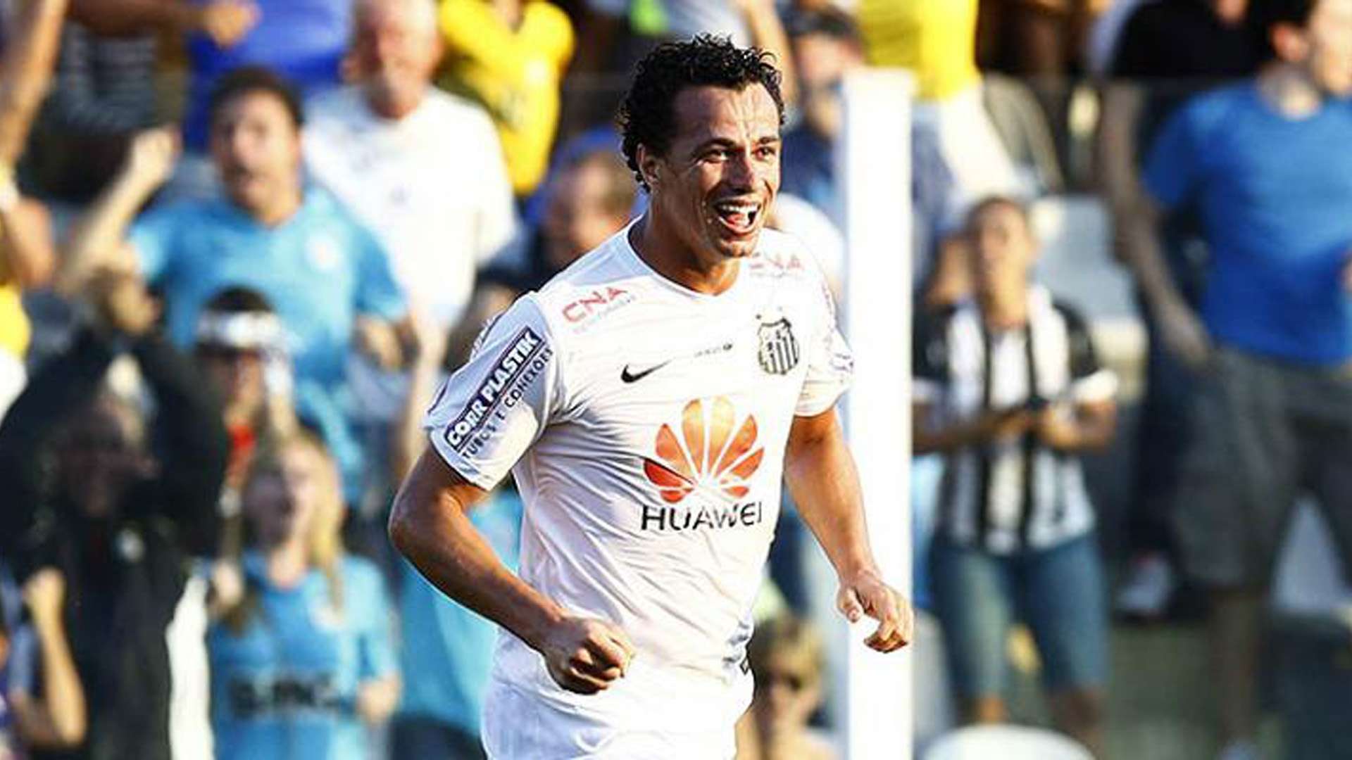 Leandro Damião Santos 2x0 Botafogo 30 11 2014