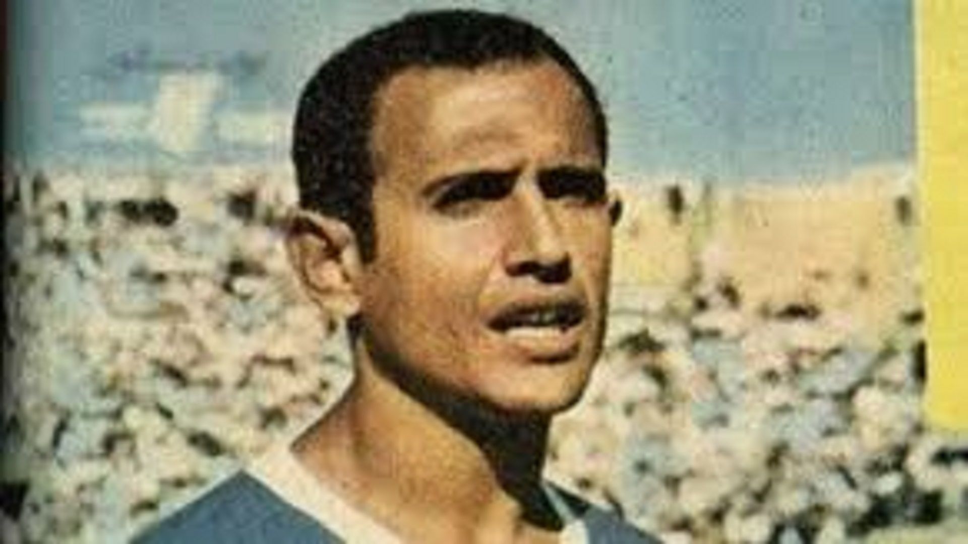 حسن الشاذلي - الترسانة