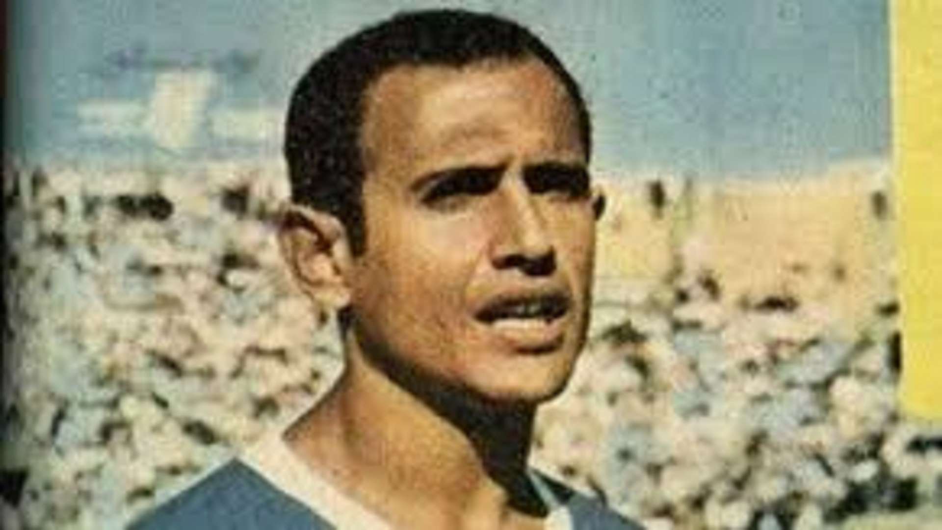 حسن الشاذلي - الترسانة