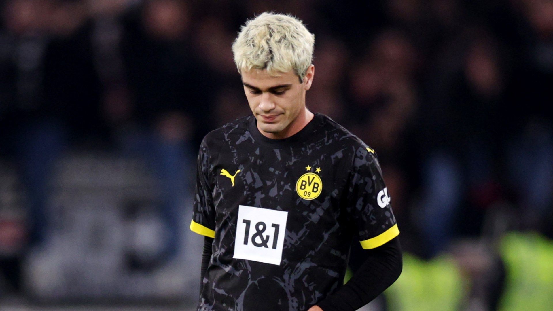 Gio Reyna Borussia Dortmund 2023-24