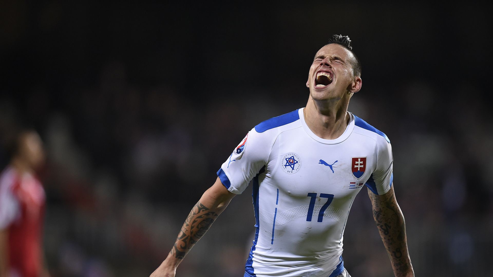 Slovakia (Group B) | Marek Hamsik