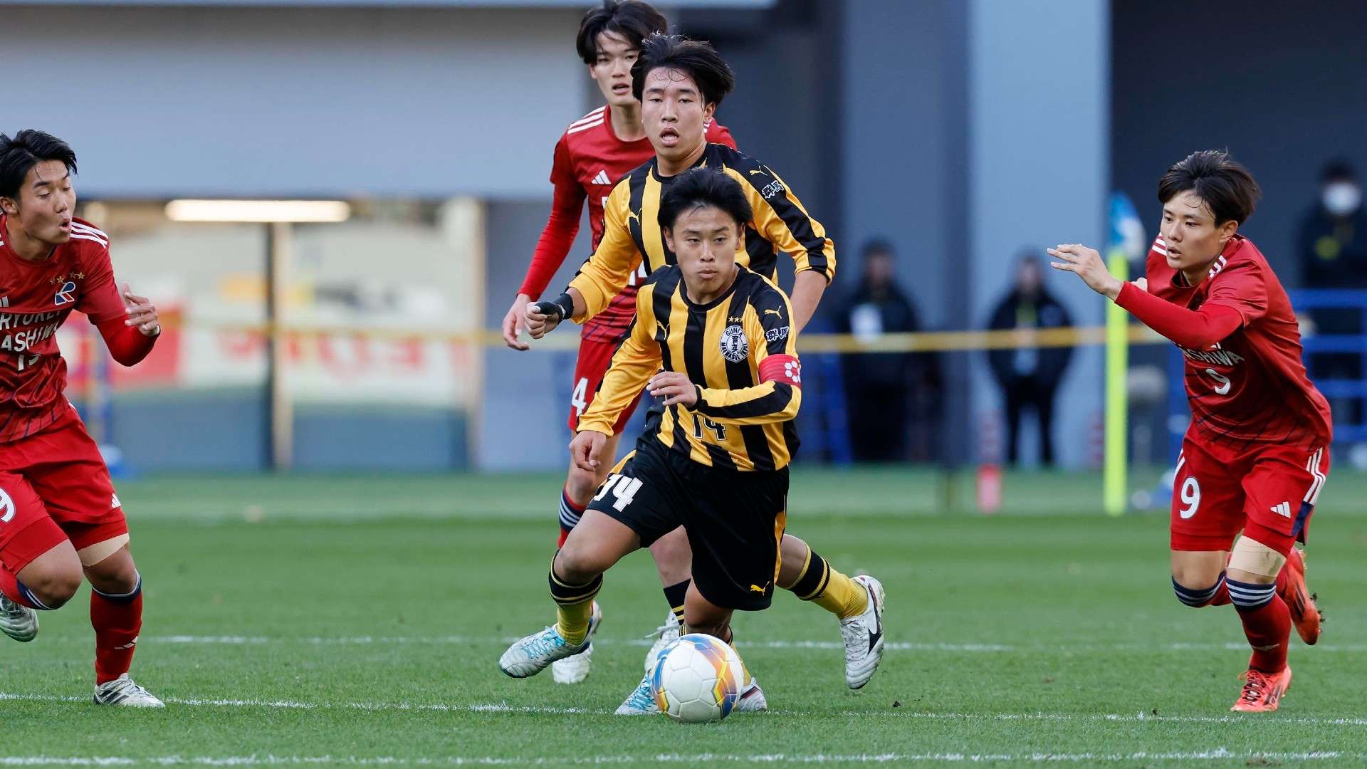 haru ishii