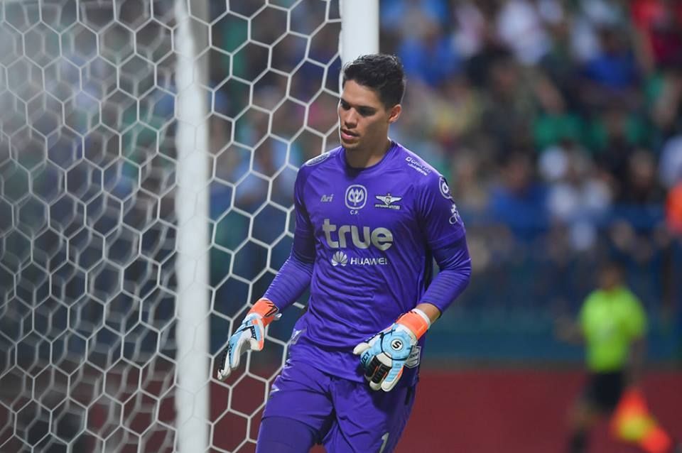 ไมเคิล ฟาลเคสการ์ด