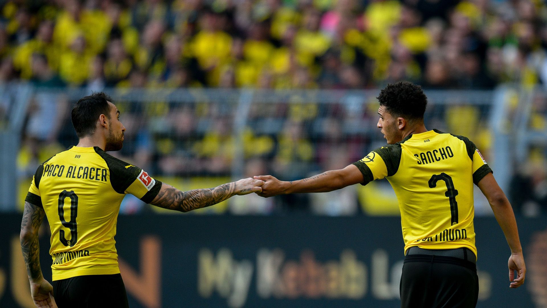 Paco Alcacer BVB 2019