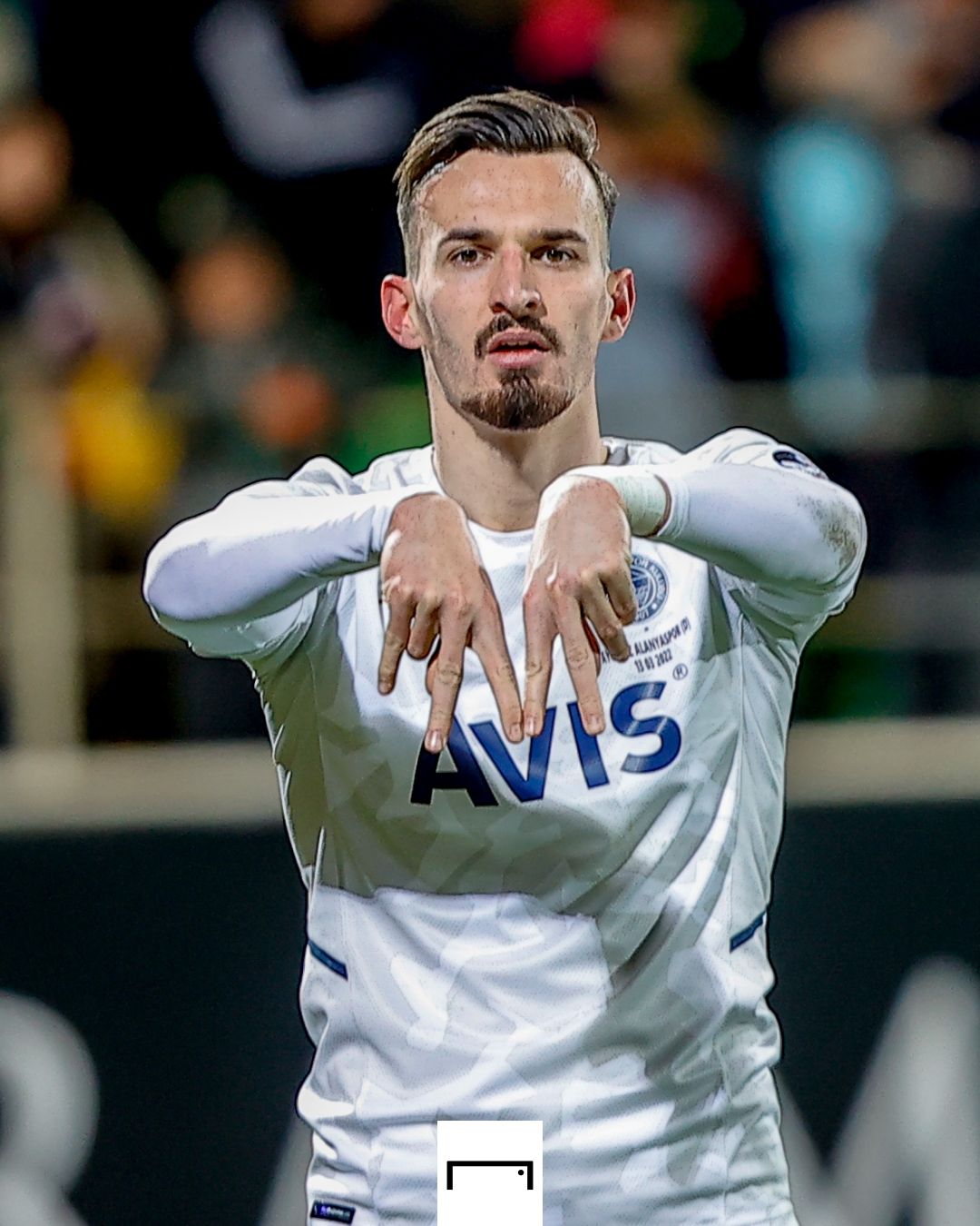 Mergim Berisha, Fenerbahçe