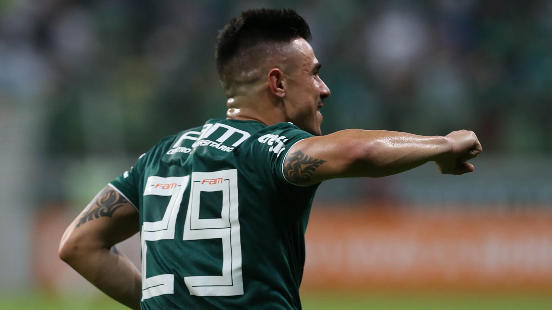 Willian Palmeiras Flamengo Brasileirao Serie A 13062018