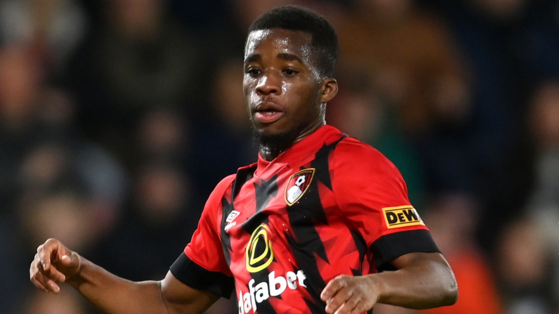 Hamed Traore Bournemouth 2023-24