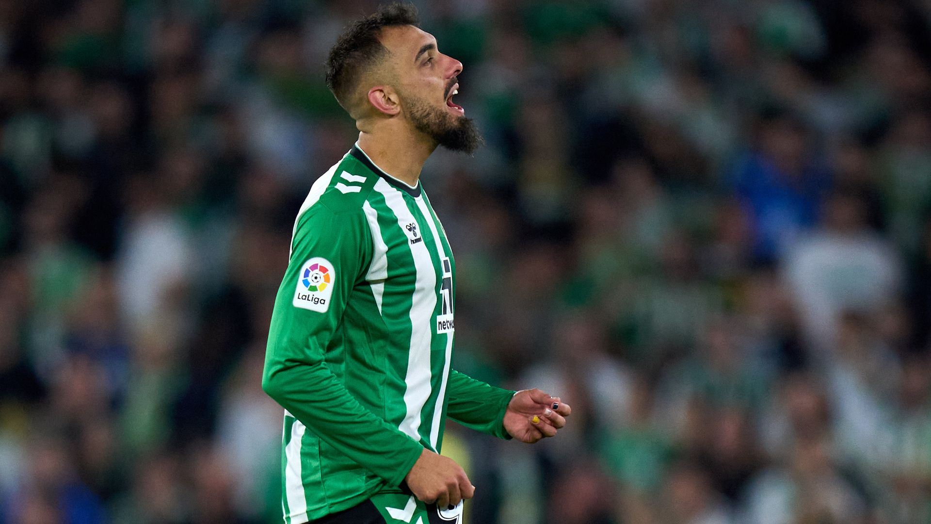 Borja Iglesias Betis