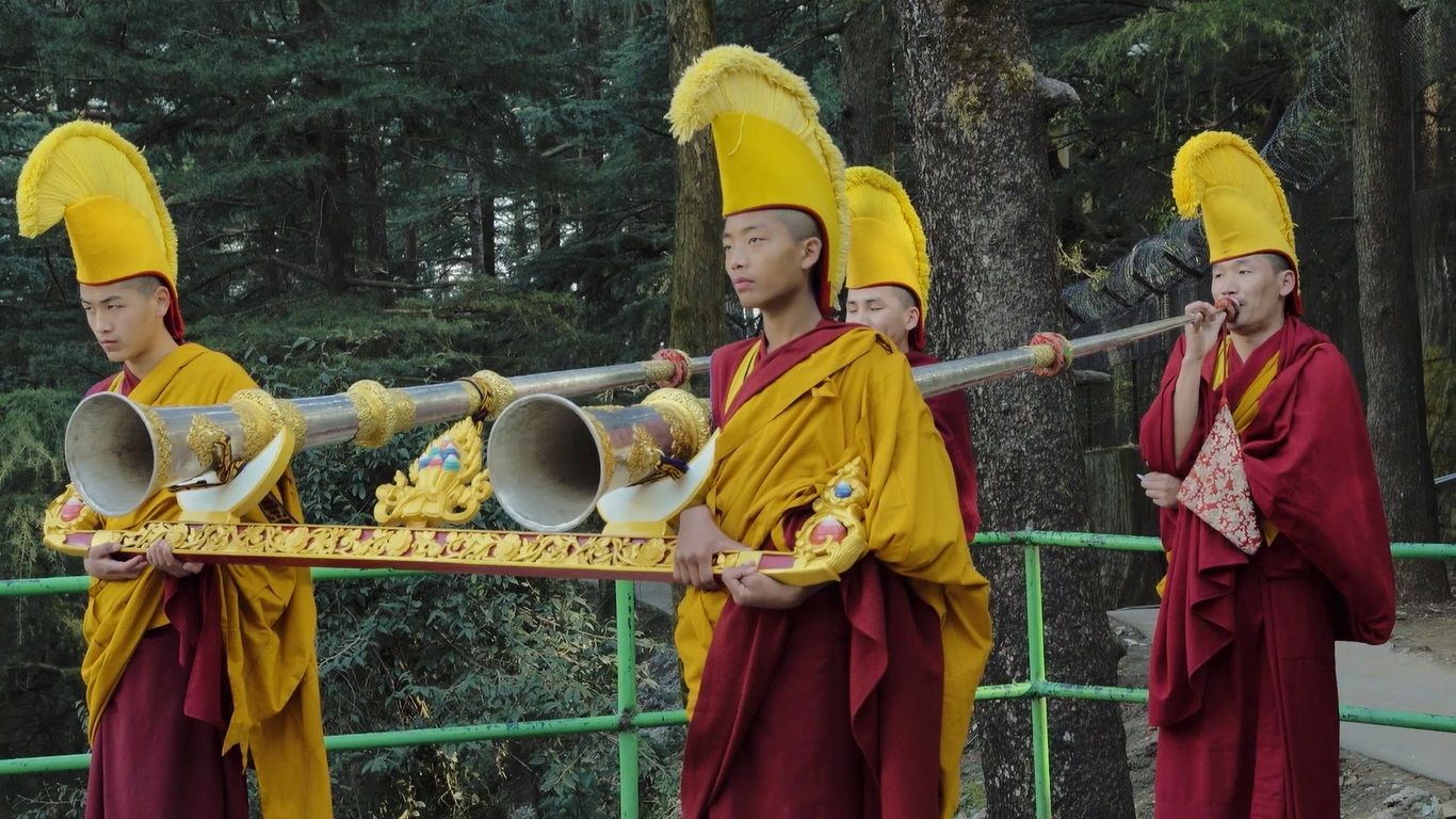 Tibet 2 Paddy Power CONIFA