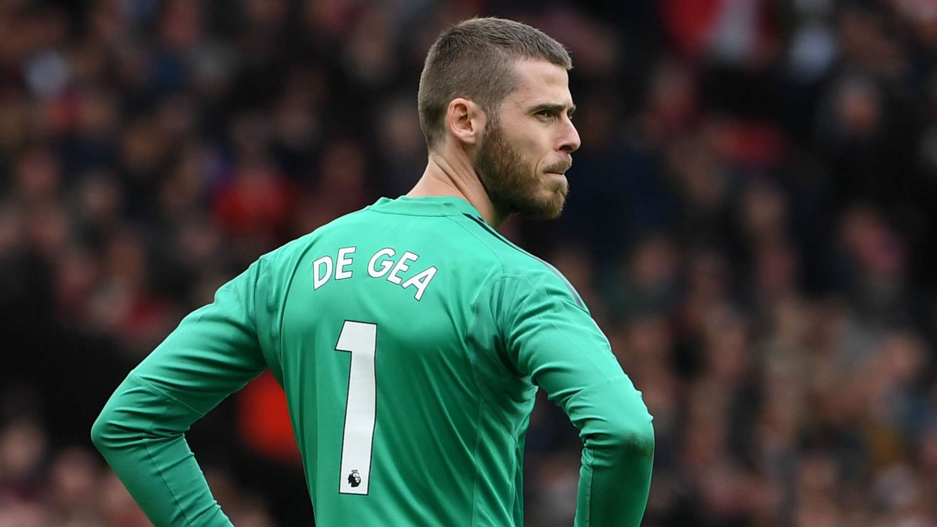 David de Gea Manchester United 2018-19