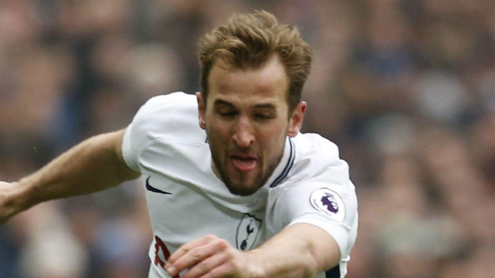 Harry Kane Tottenham