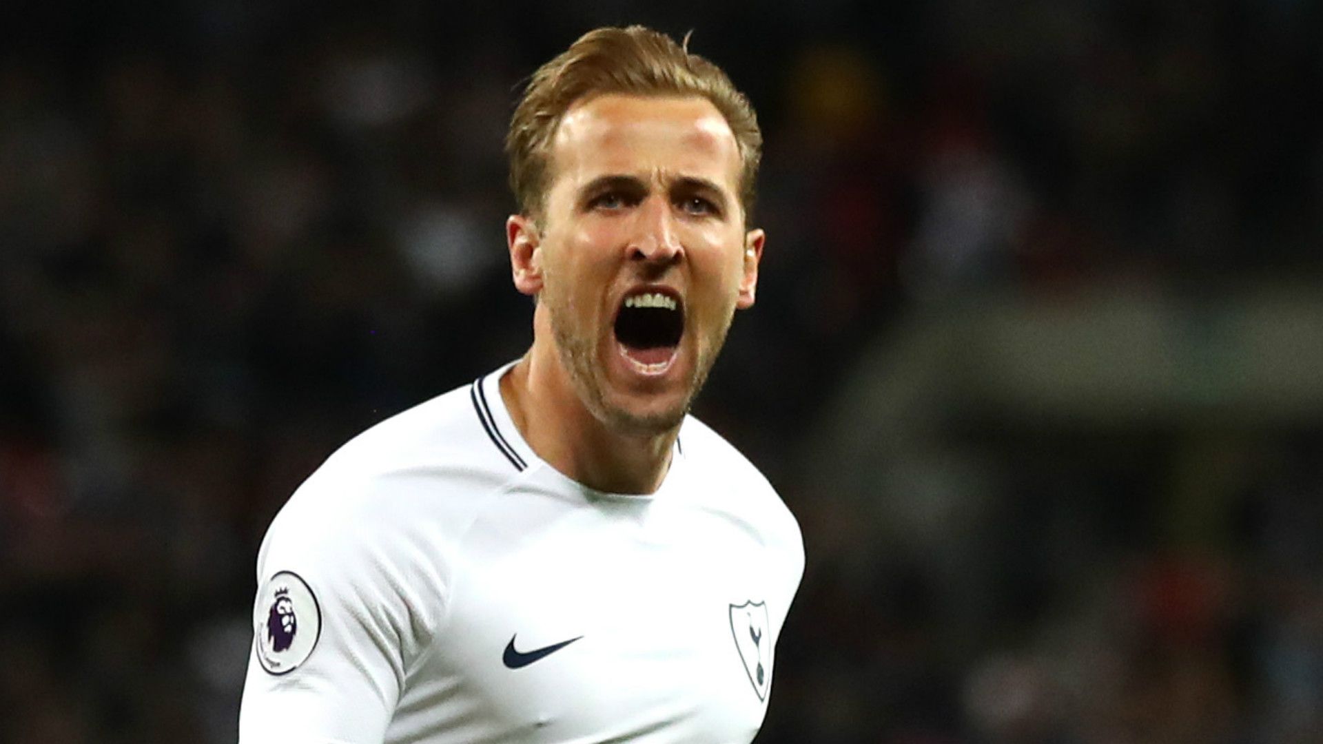 Harry Kane Tottenham 2017-18