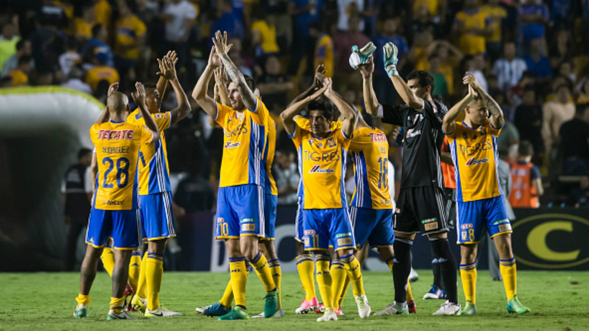 Tigres