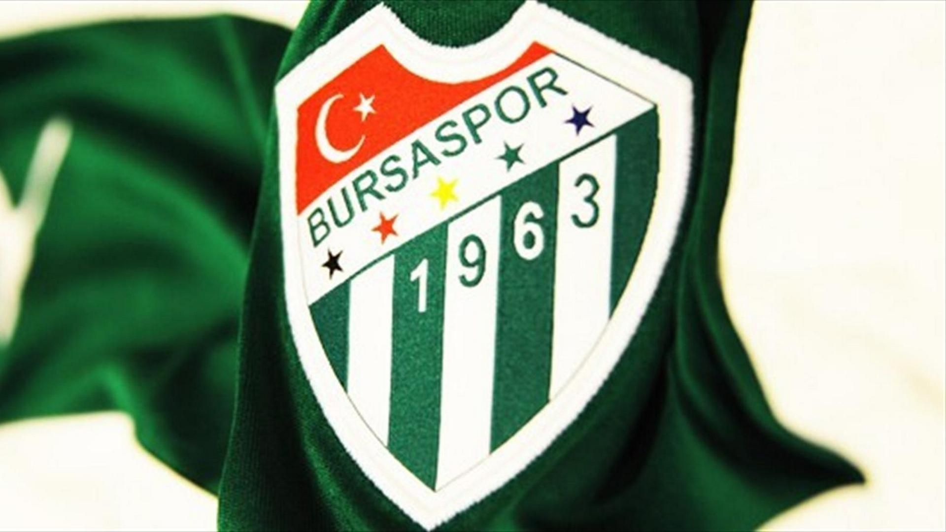 Bursaspor logo