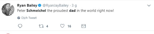 Schmeichel's reaction