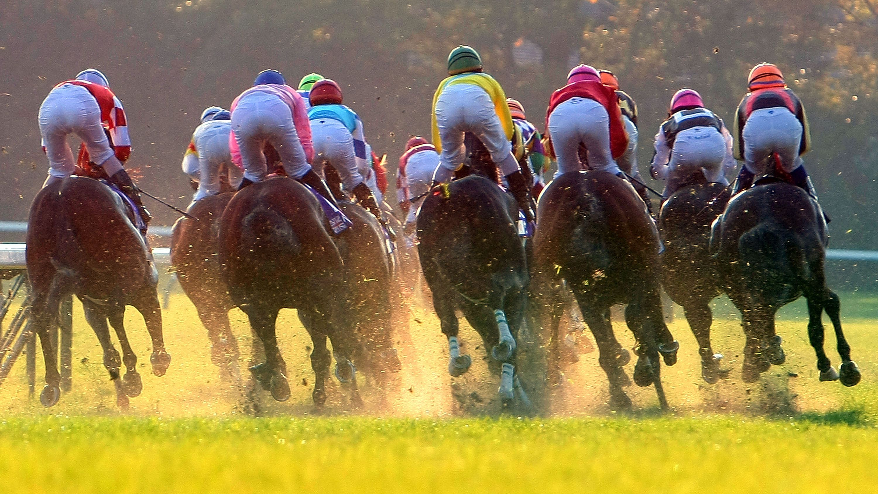 Tokyo Race course