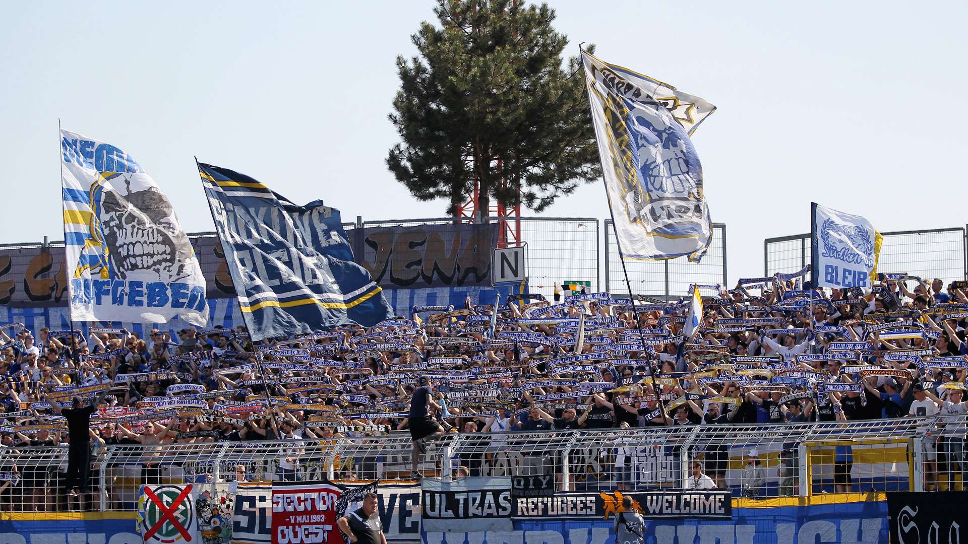 carl zeiss jena fans supporters 3. liga