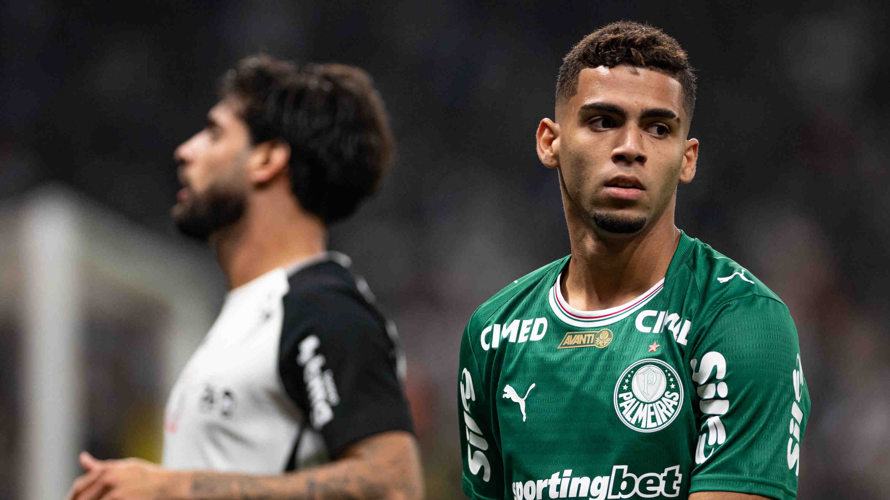 Arthur Gabriel Palmeiras
