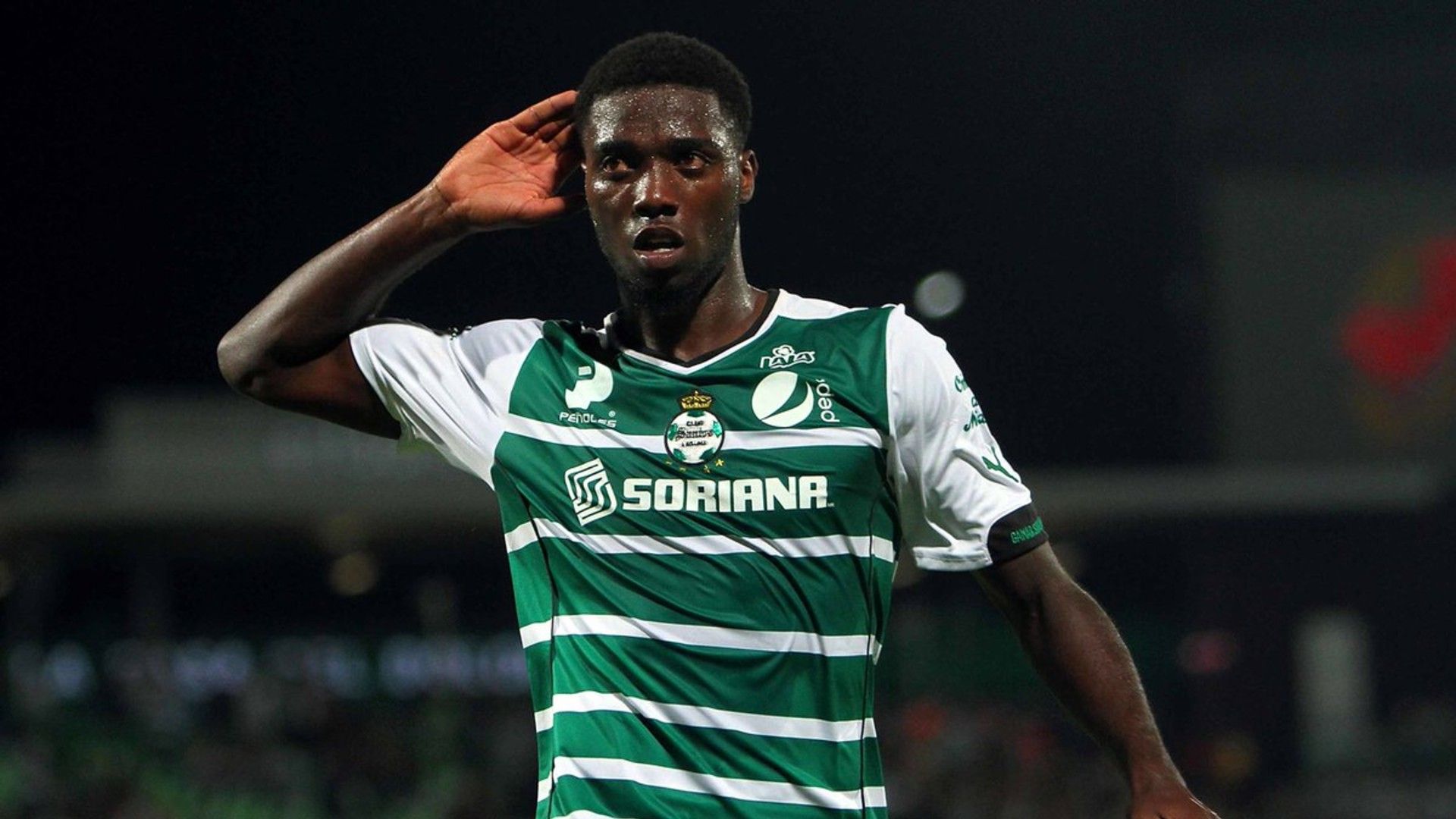 دجانيني بالمكسيك