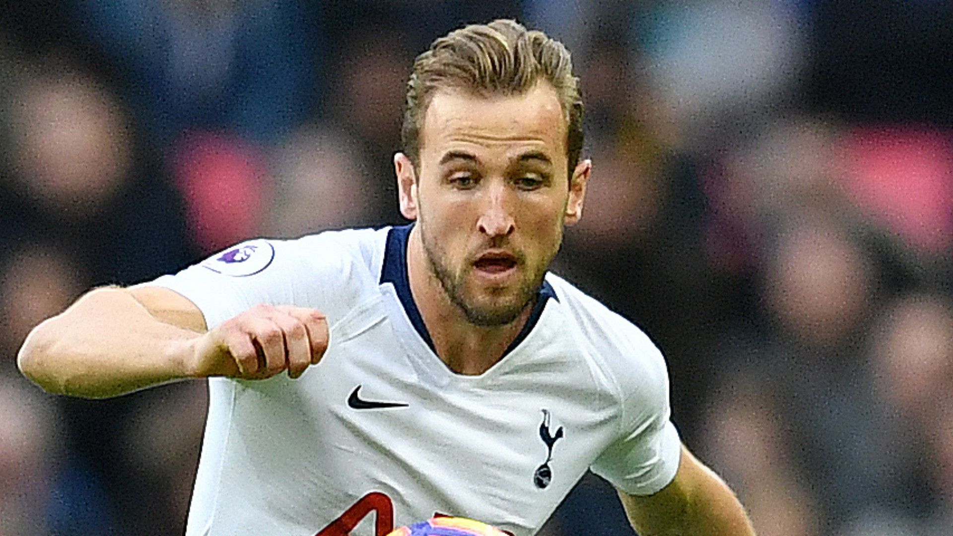 Harry Kane Tottenham 2018-19