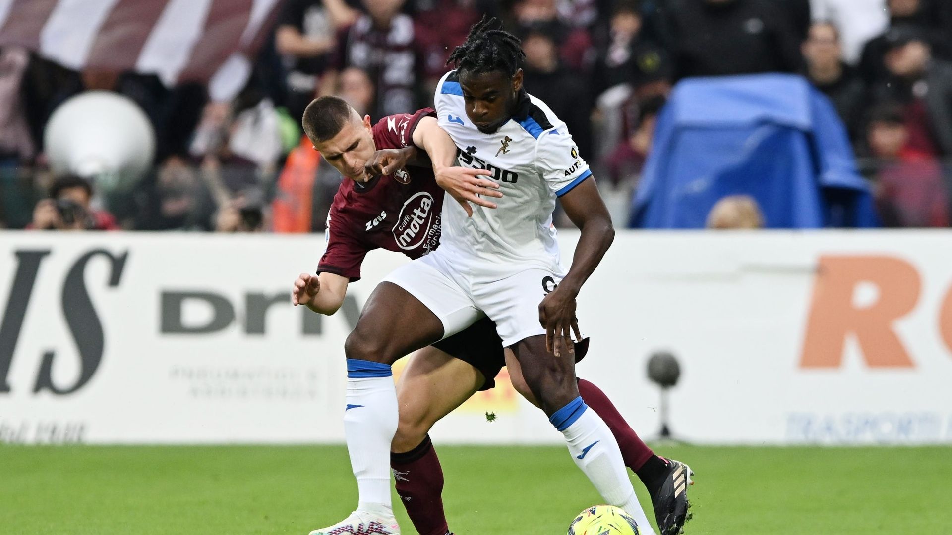 Pirola Zapata Salernitana Atalanta