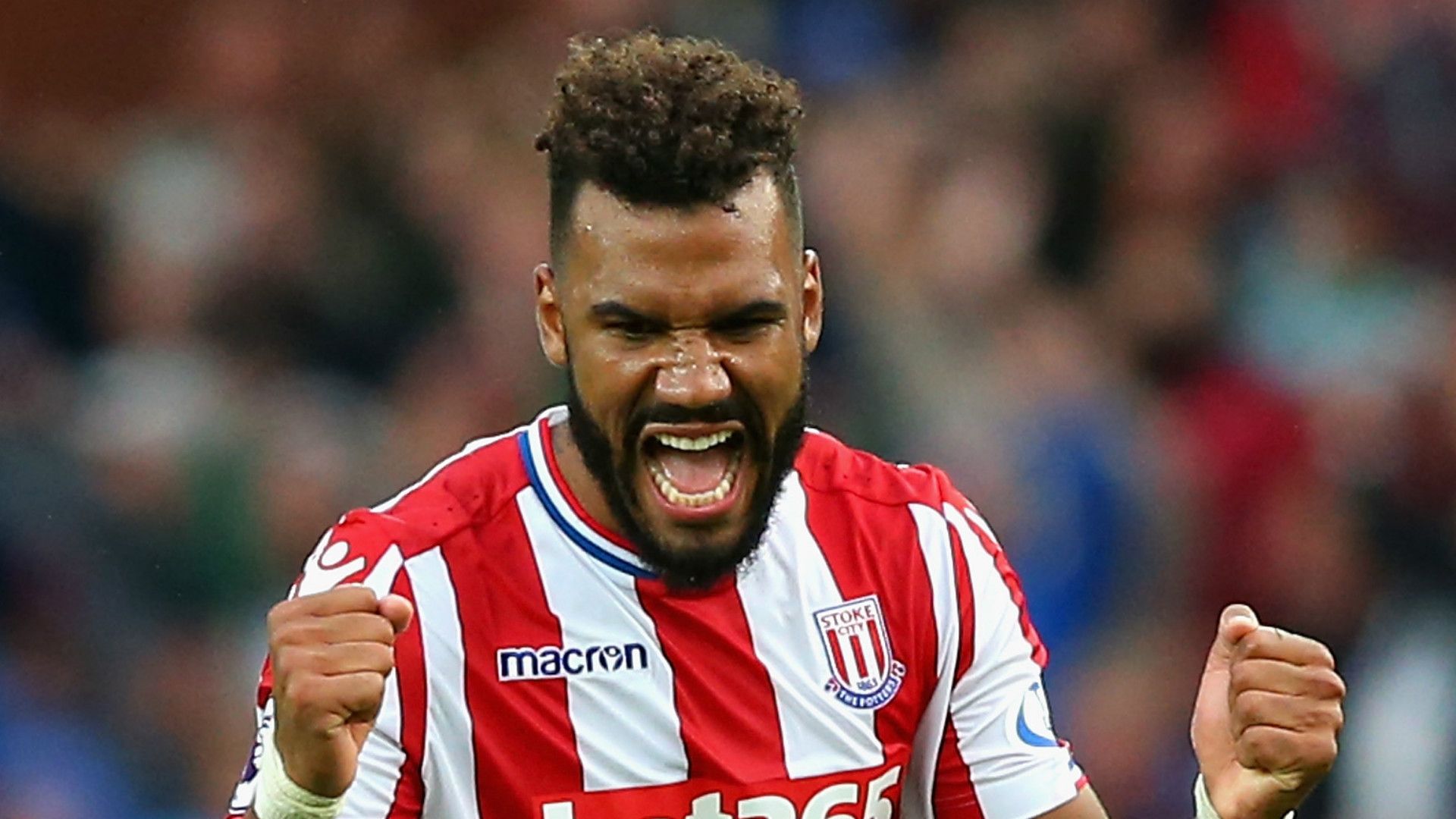 Eric Maxim Choupo-Moting Stoke City 2017-18