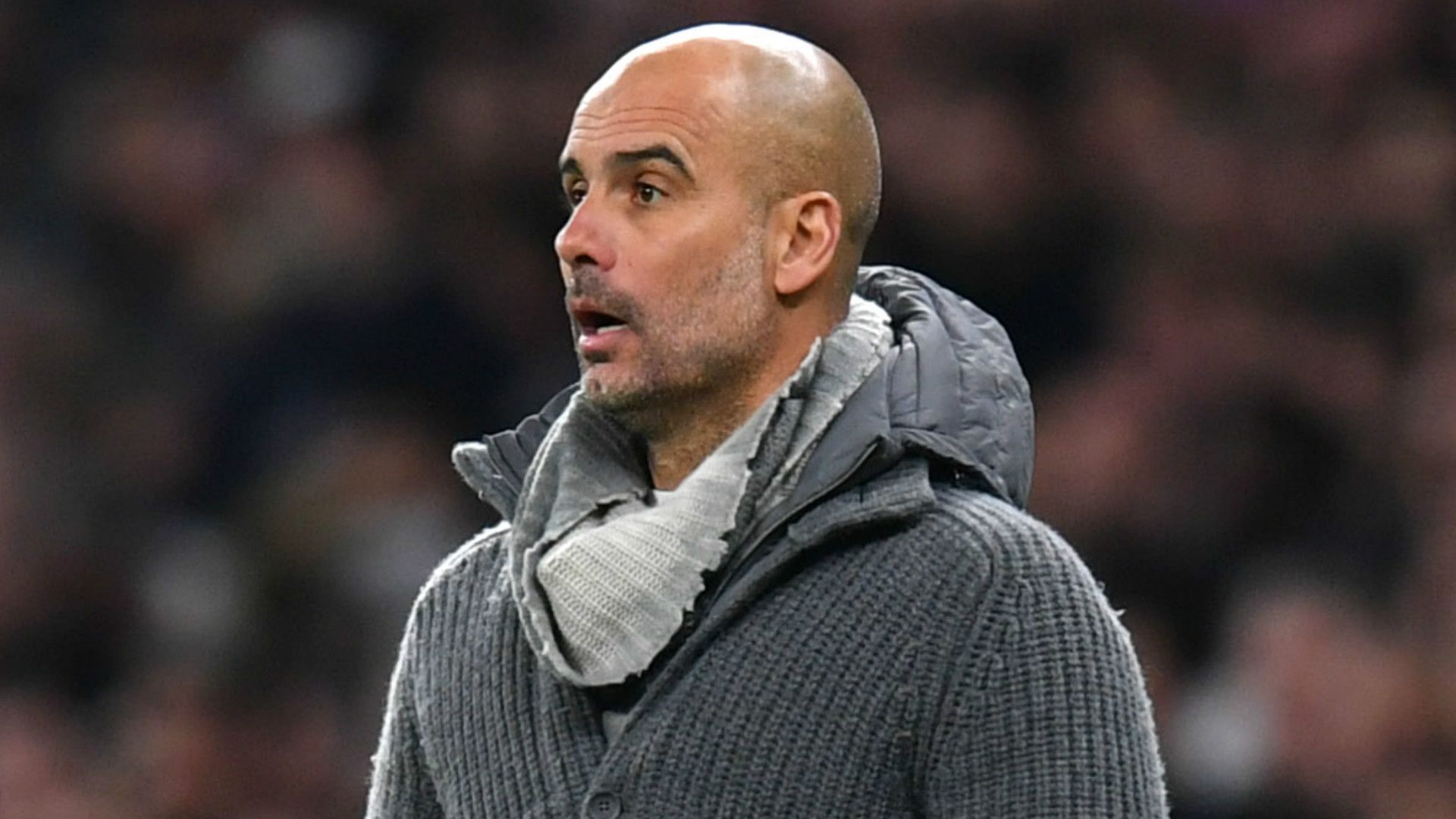 Pep Guardiola Manchester City 2018-19