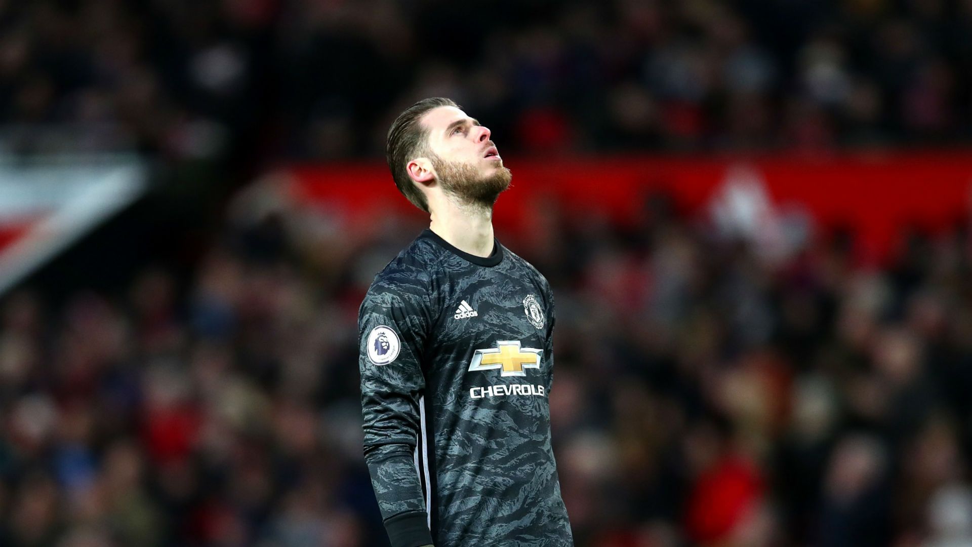 David De Gea Manchester United