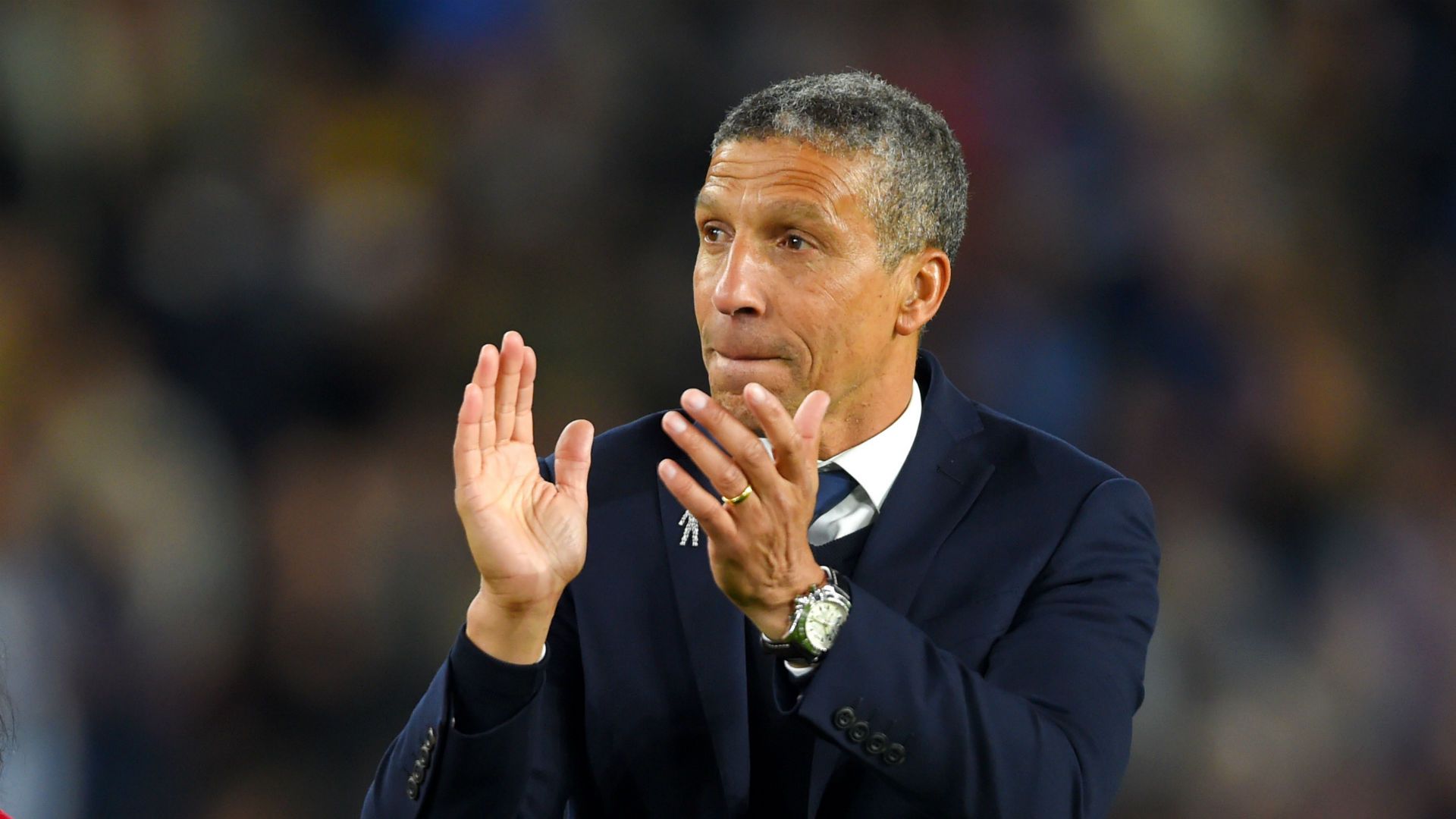 Chris Hughton Brighton