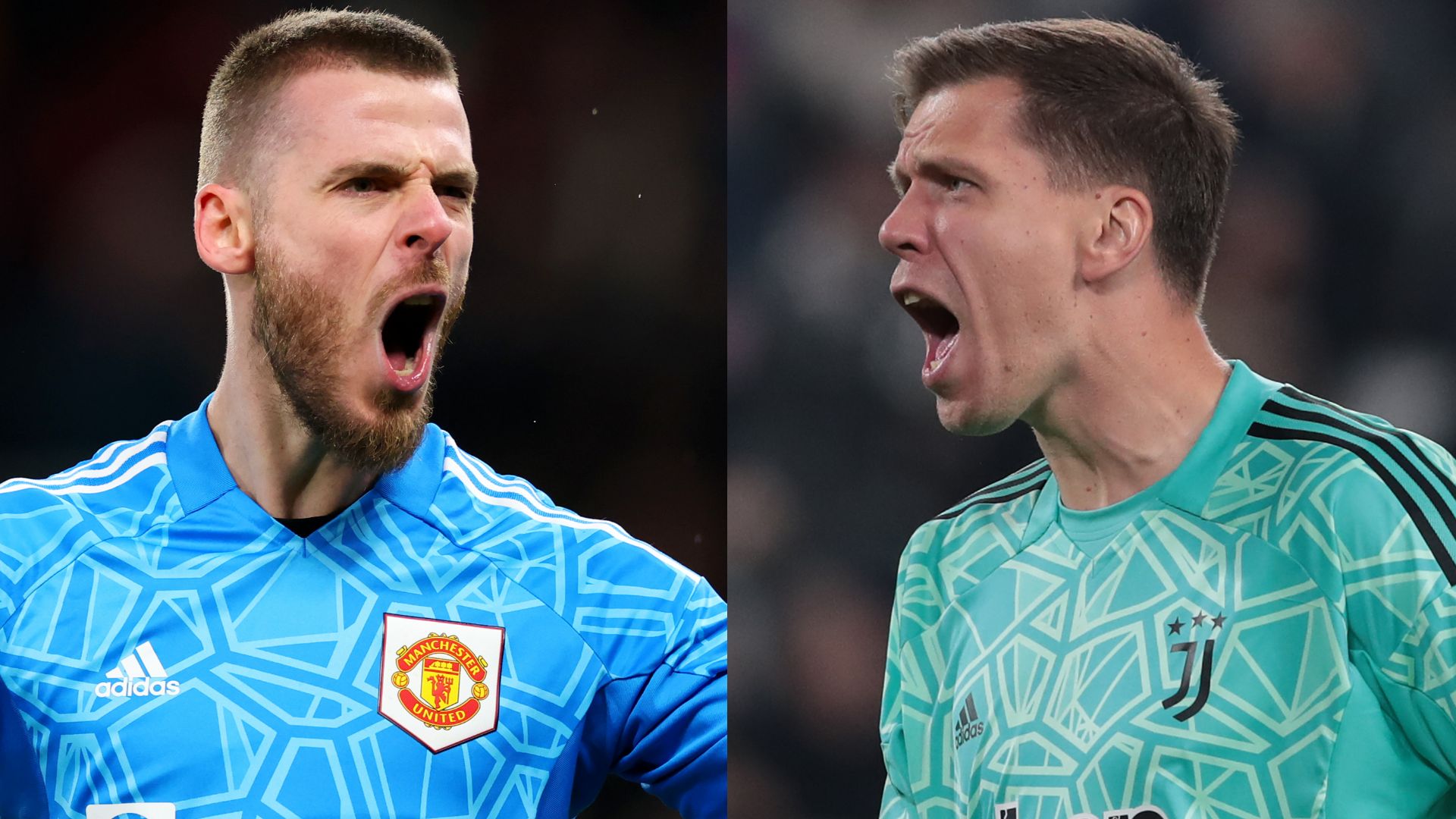 David de Gea Wojciech Szczesny
