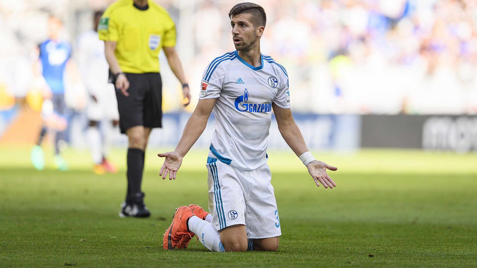 Matija Nastasic TSG 1899 Hoffenheim FC Schalke 04 Bundesliga 25092016