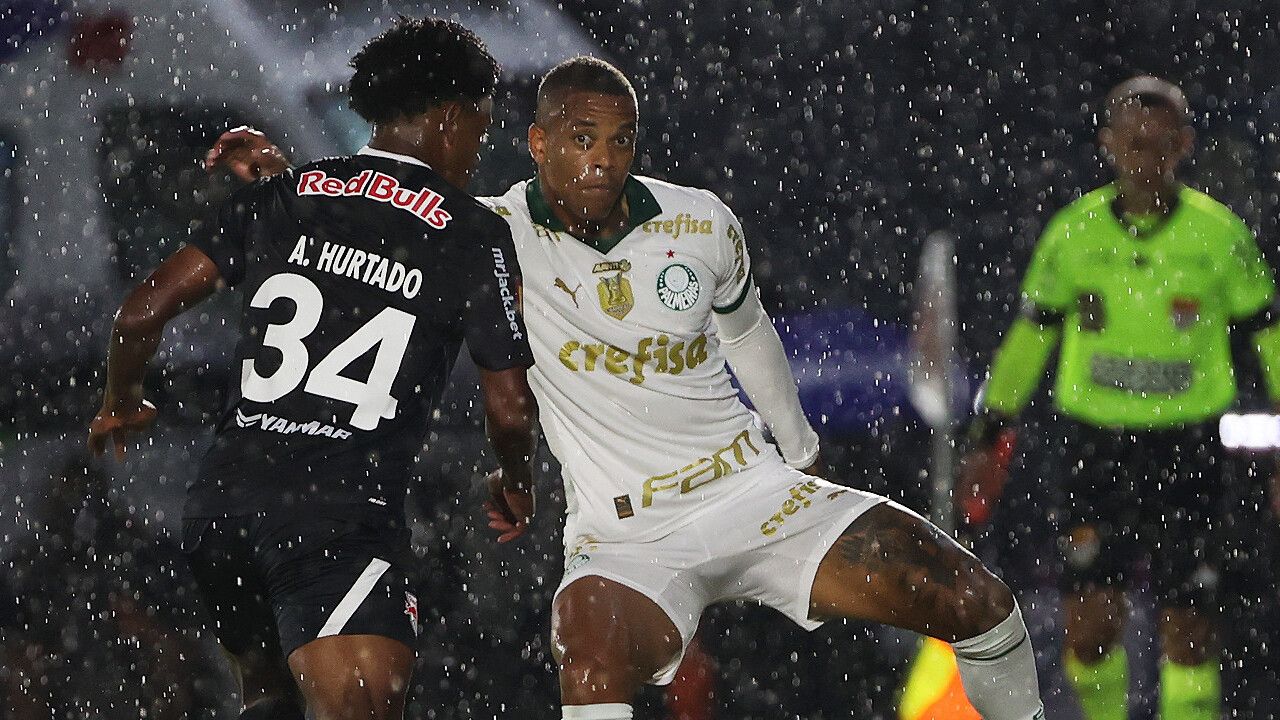 Caio Paulista, Palmeiras, 2024