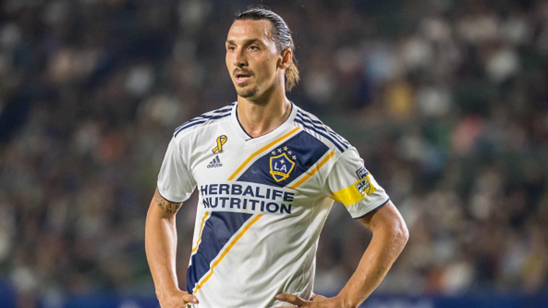 Zlatan Ibrahimovic Galaxy