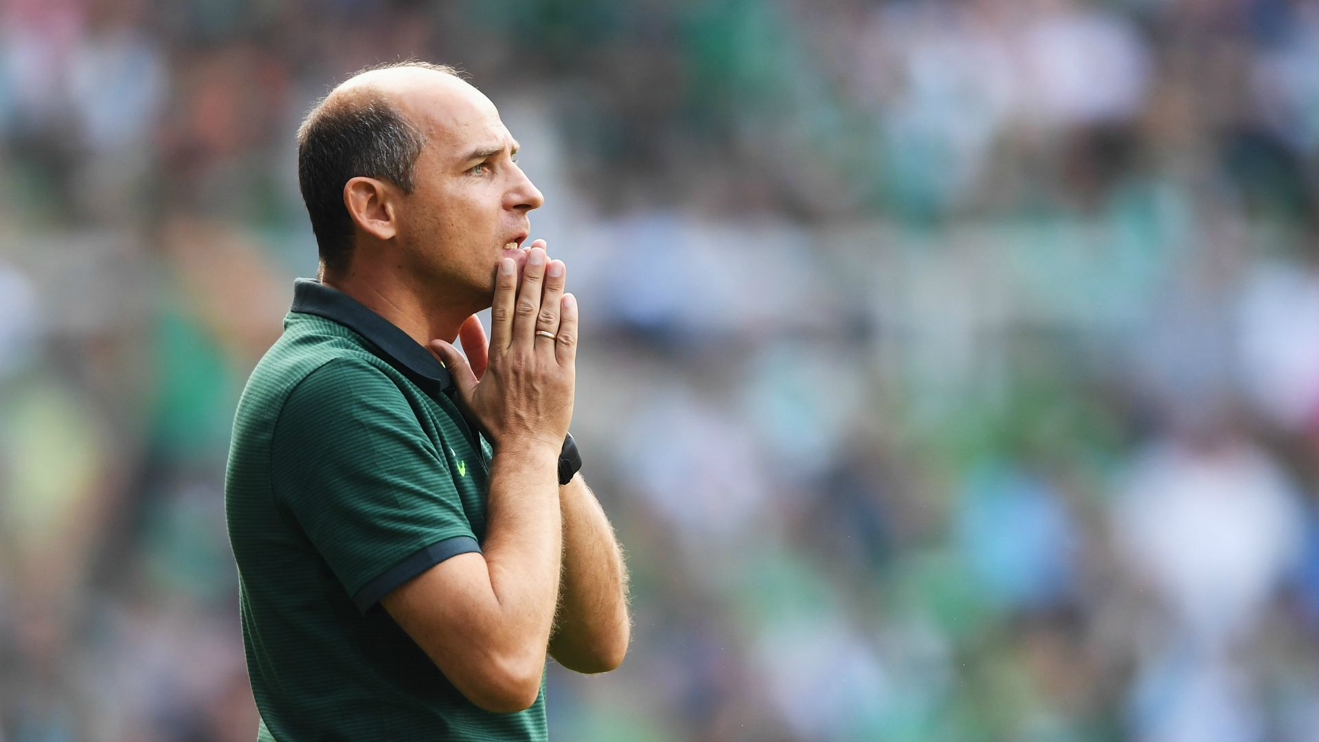 Viktor Skripnik, Werder Bremen