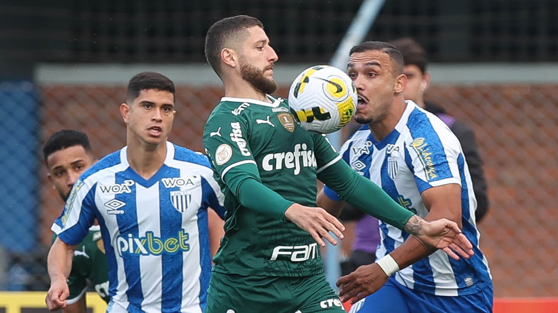 Zé Rafael, Pottker, Avaí x Palmeiras, Brasileirão, 26062022