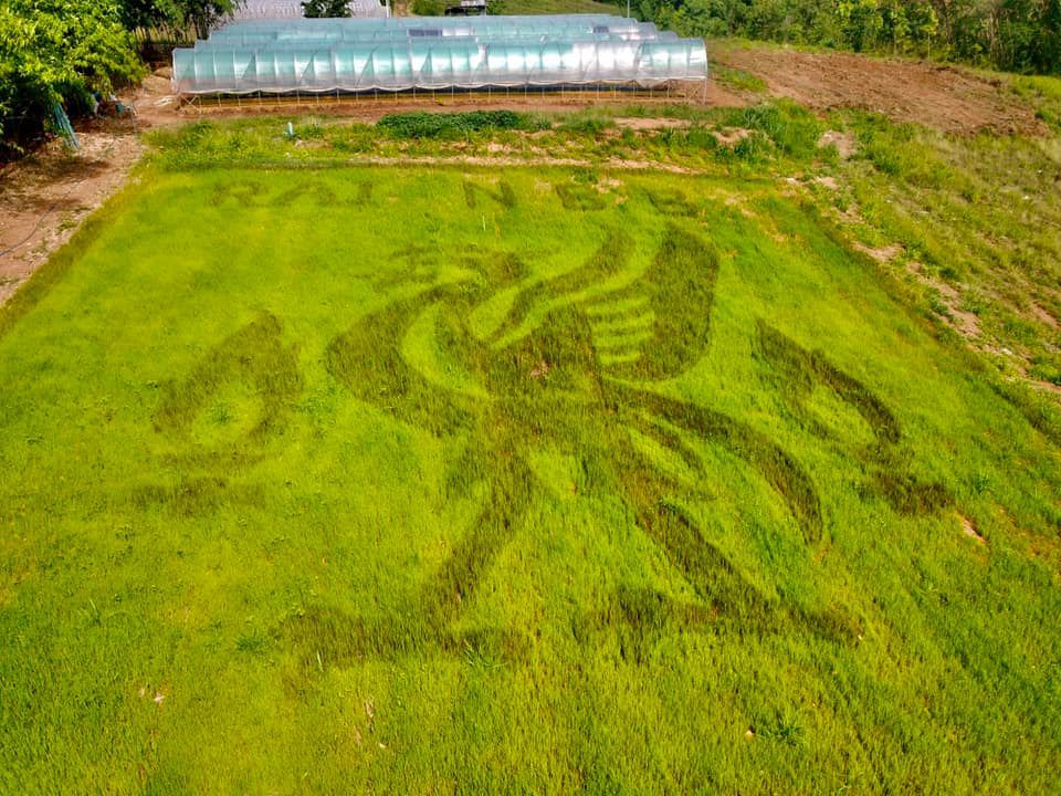 โลโก้ ลิเวอร์พูล