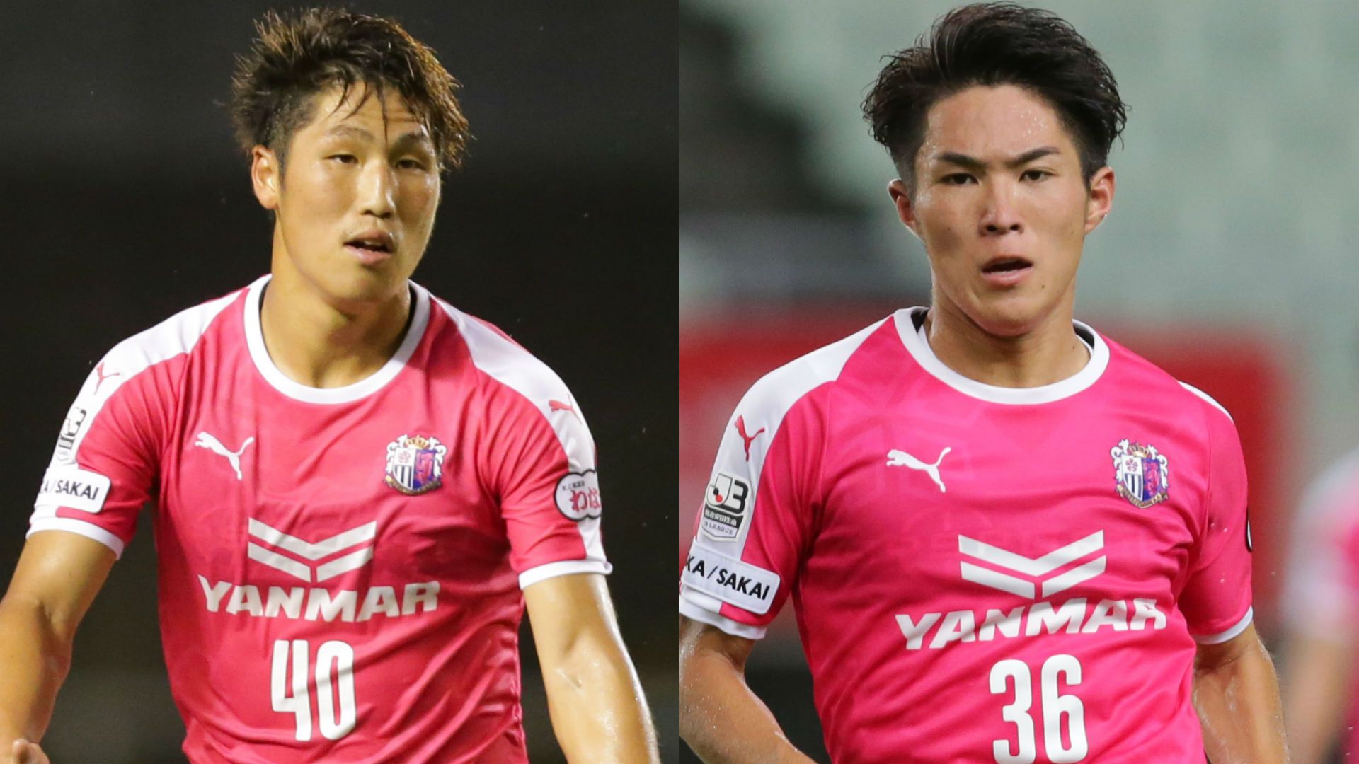 cerezo02.jpg