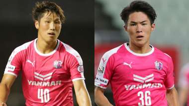 cerezo02.jpg