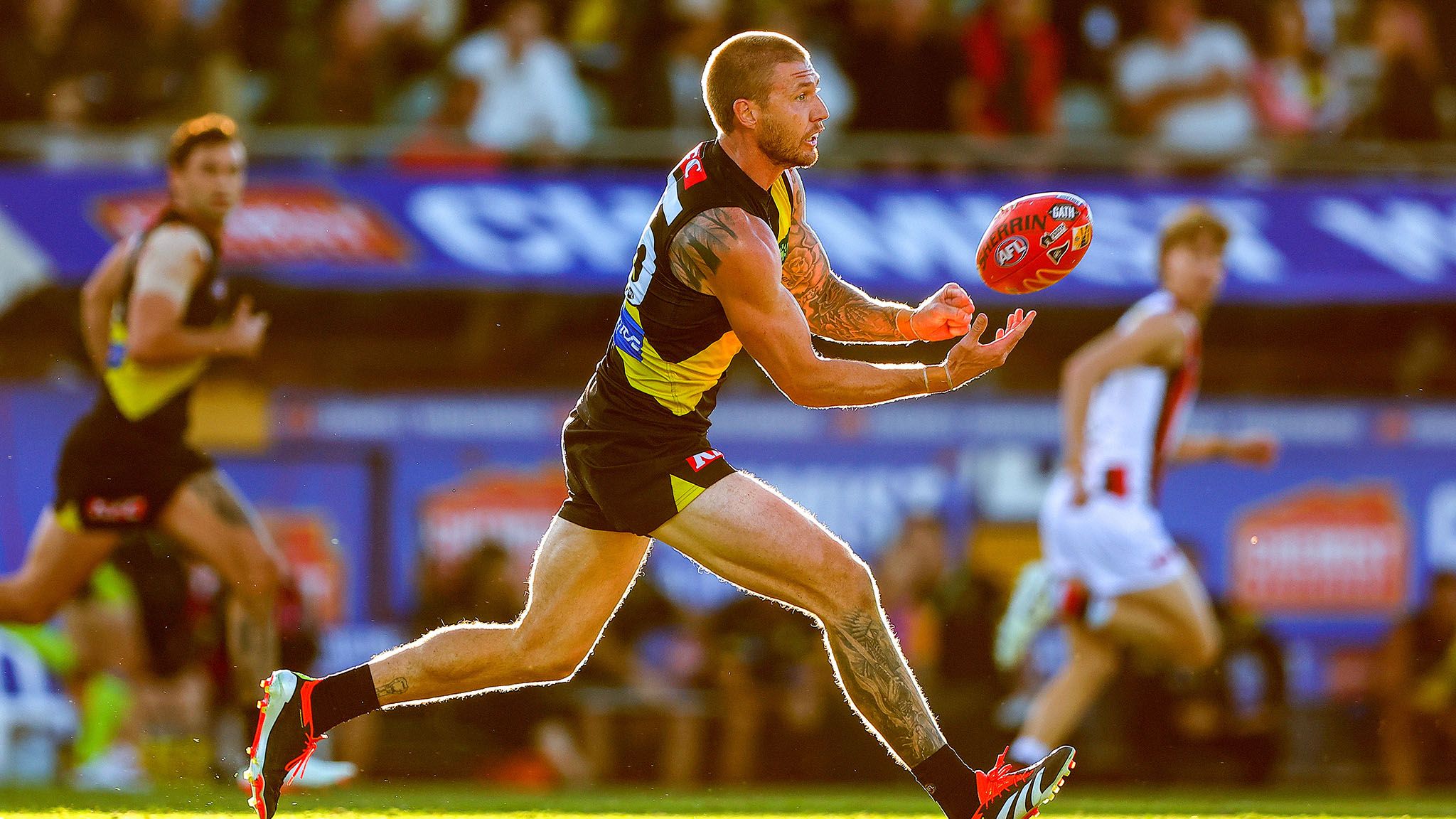 Richmond Tigers AFL 2024