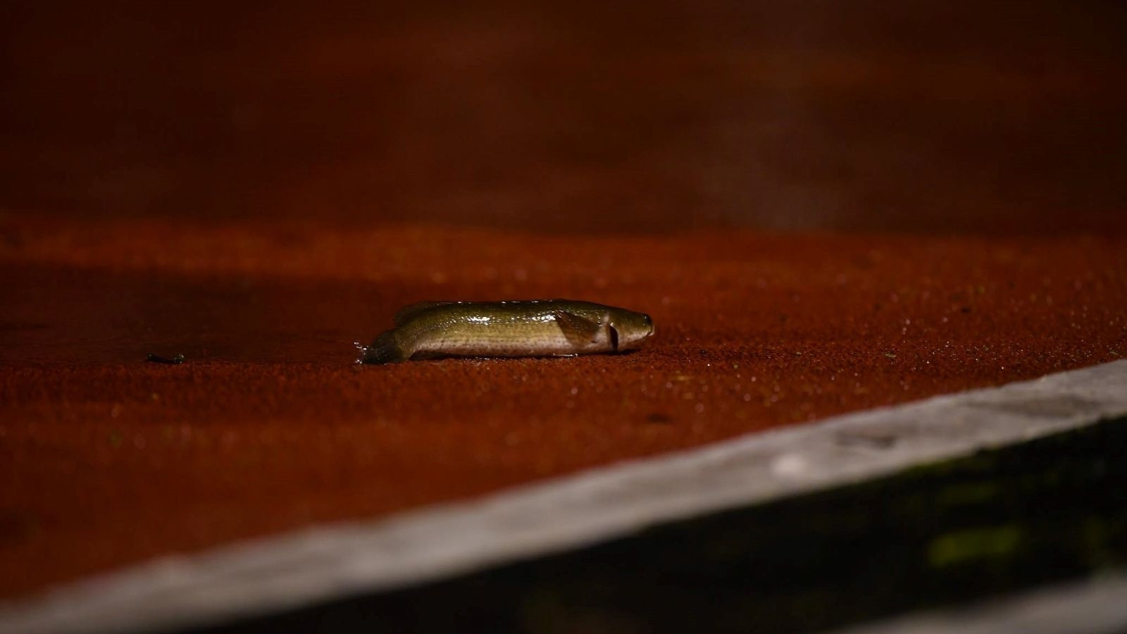 เทโร - การท่าเรือ