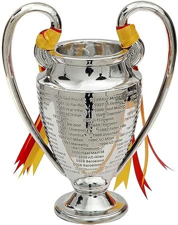 كأس دوري أبطال أوروبا 2019