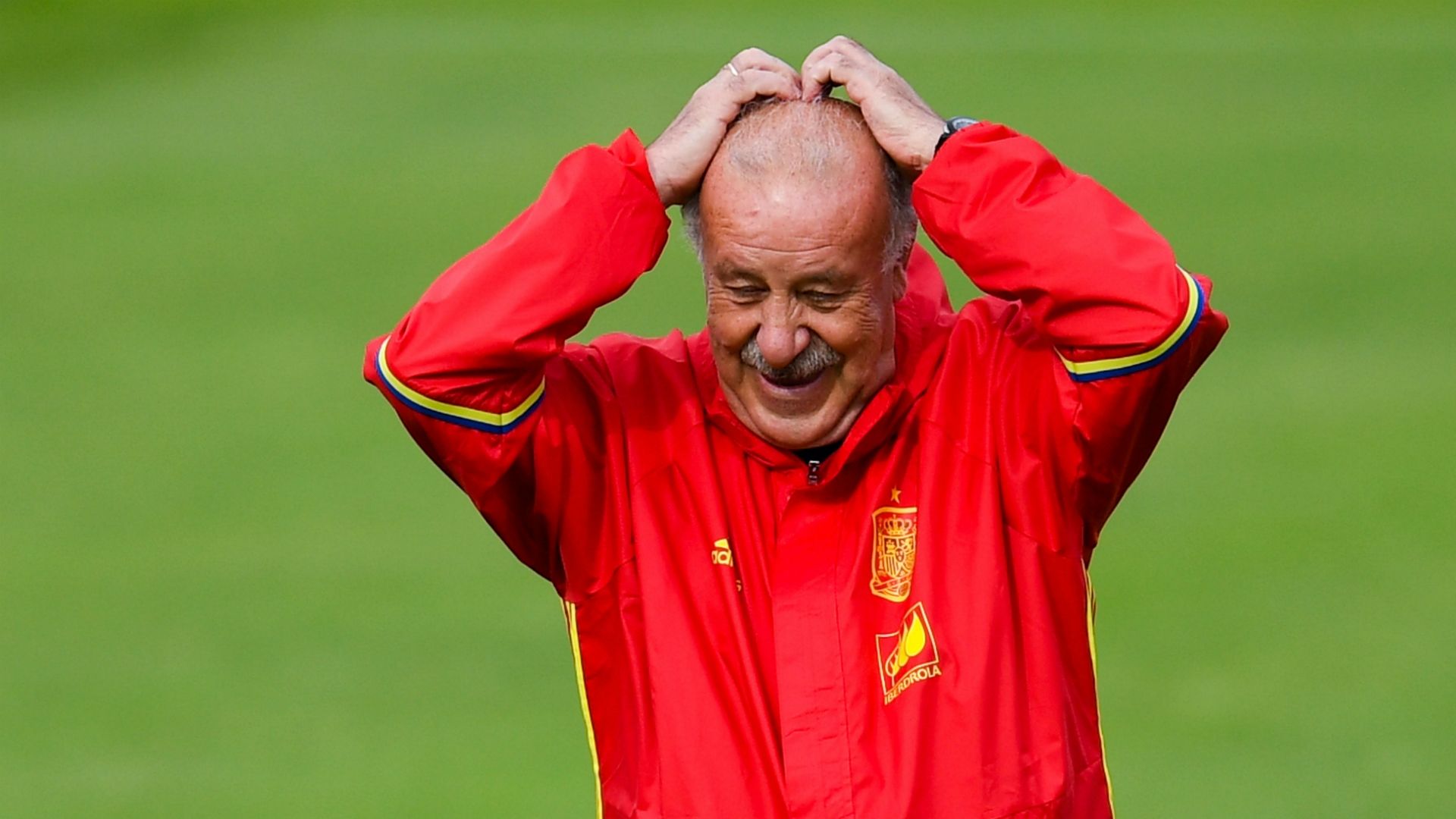 Vicente del Bosque - cropped