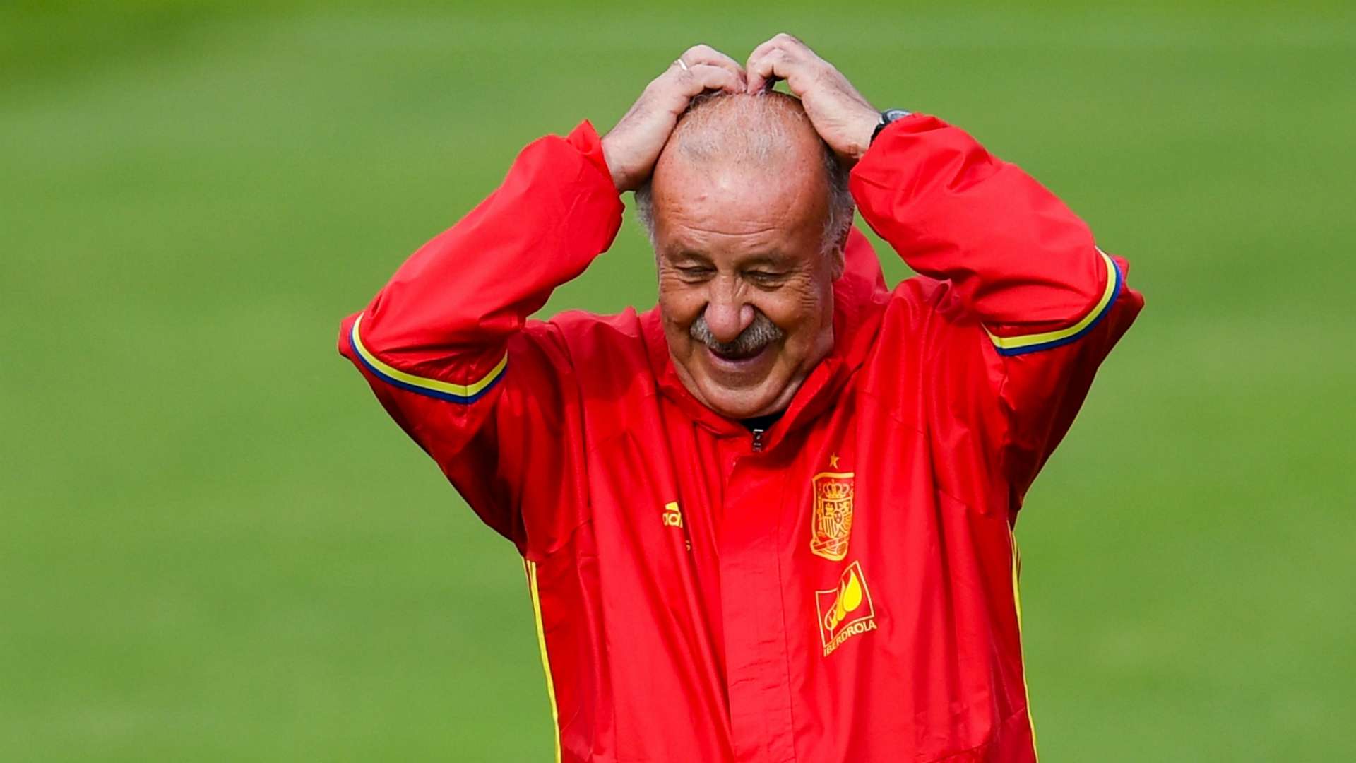 Vicente del Bosque - cropped