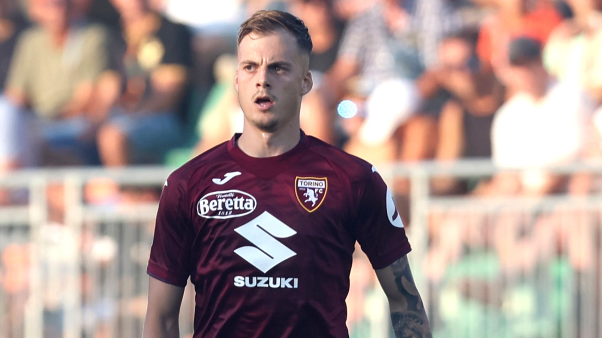 Ivan Ilic Torino 2024-2025