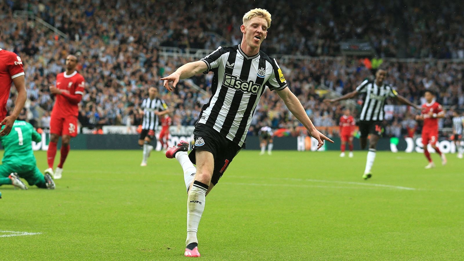 Newcastle - Anthony Gordon